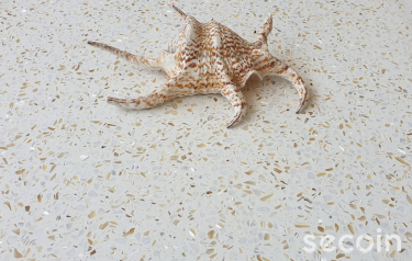 Special Aggregate Terrazzo